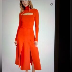 Chic Scarlet Long Sleeve Dress